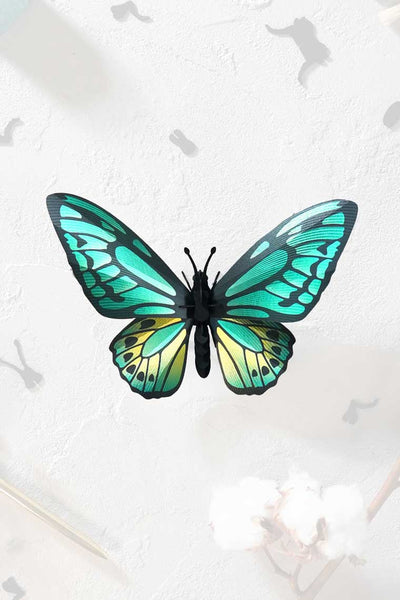Schmetterling Birdwing grün - 3D Insekt zum selbst zusammenbauen