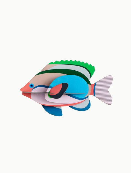 Fairy Wrasse - Lippfisch - Wanddekoration aus Recyclingkarton