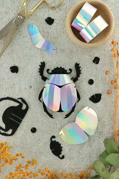 3D Insekten zum zusammenbauen: Blatthornkäfer rainbow
