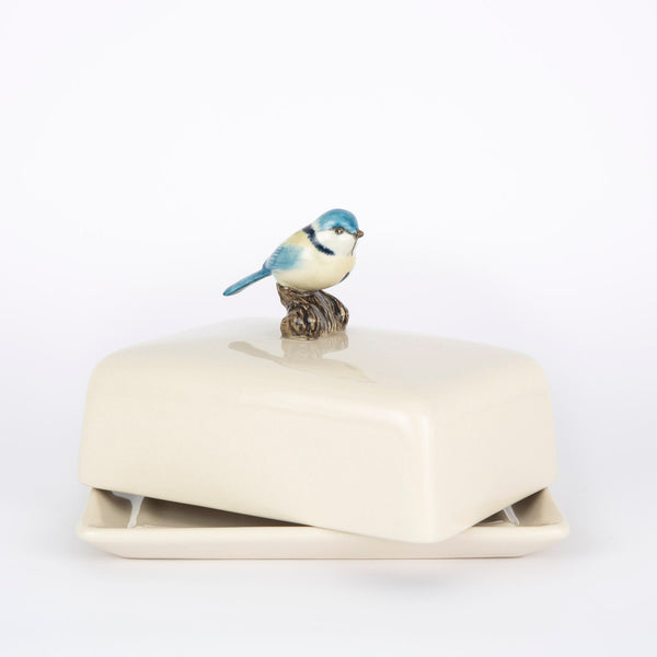 Butterdose Blaumeise