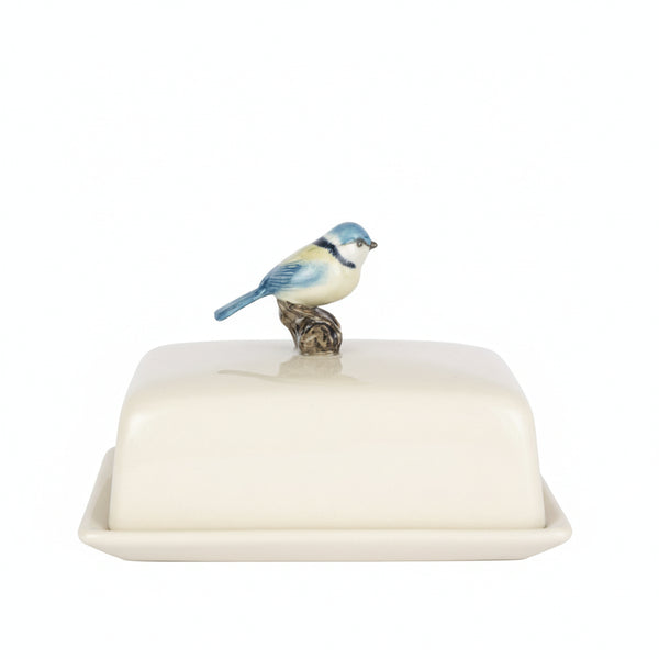 Butterdose Blaumeise