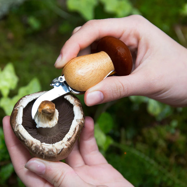 Schlüsselanhänger Mushroom - Tool mit 2 Werkzeugen