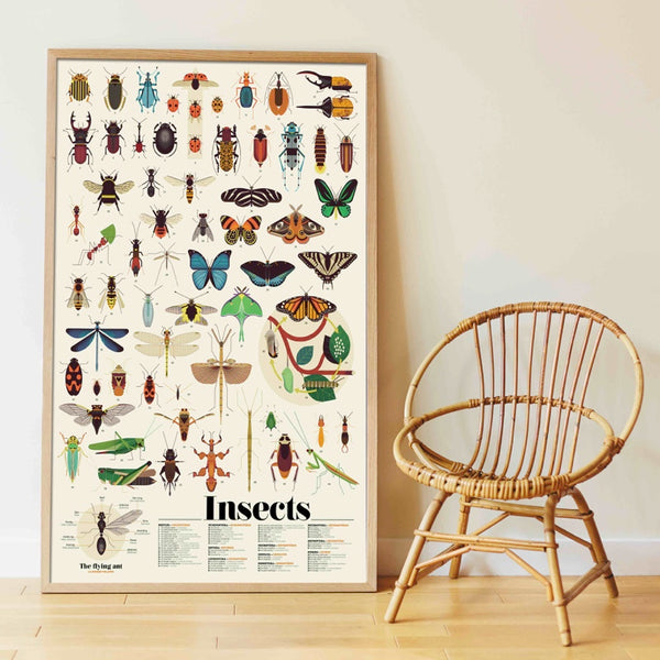 XXL Lernposter mit Stickern - Insekten