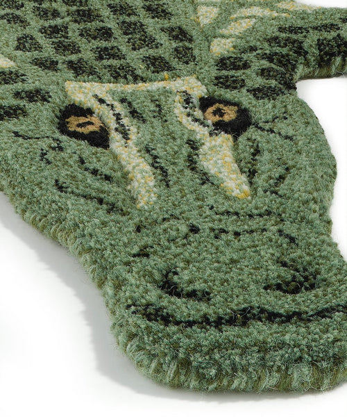 Detailaufnahme des Krokodil Gesichts