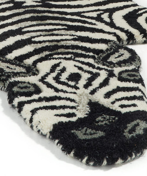 Detailaufnahme des Zebragesichts