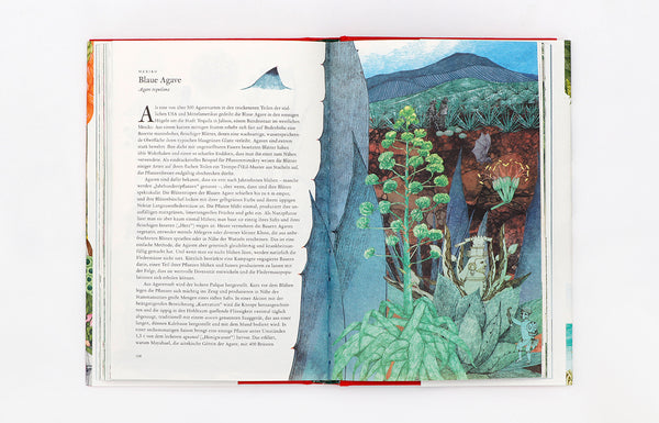 Buch "In 80 Pflanzen um die Welt"